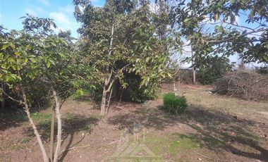 Casa en Venta en Isla de Marchant, Curicó