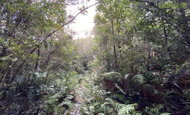 Parcela en Venta en Parcelas con vista al mar - Piedra Azul Alto