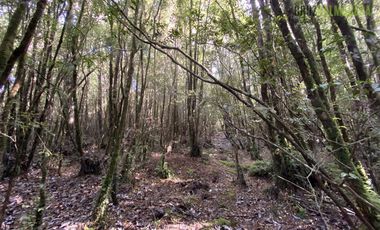 Parcela en Venta en Parcelas con vista al mar - Piedra Azul Alto