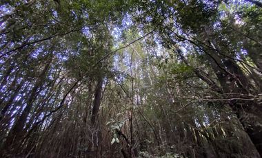 Parcela en Venta en Parcelas con vista al mar - Piedra Azul Alto
