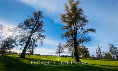 Fundo en excelente ubicación