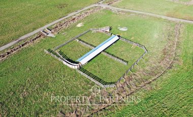 Lindo Campo en Los Lagos, sector Las Juntas