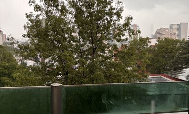 PH EN COLONIA DEL VALLE