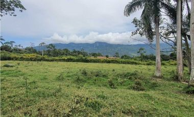 Se Vende Lote Campestre Sector Novillero 10.000m2