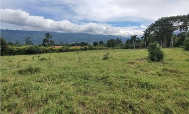 Se Vende Lote Campestre Sector Novillero 10.000m2