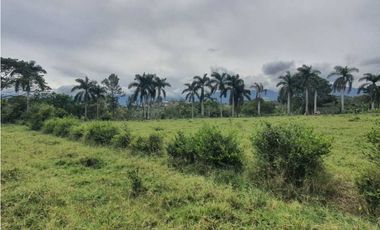 Se Vende Lote Campestre Sector Novillero 10.000m2