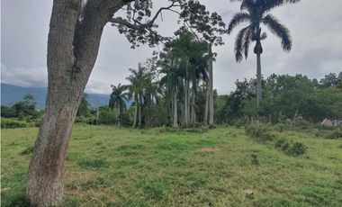 Se Vende Lote Campestre Sector Novillero 10.000m2