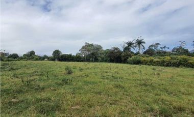 Se Vende Lote Campestre Sector Novillero 10.000m2
