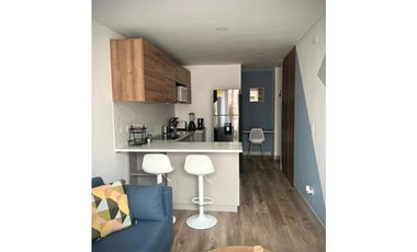 ARRIENDO AMOBLADO UNICAMENTE, APARTAESTUDIO ESTRENAR CHICO BAJO