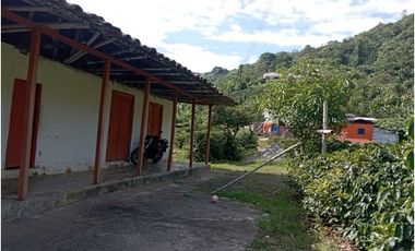 Se Vende Finca Cafetera en Quinchía Risaralda