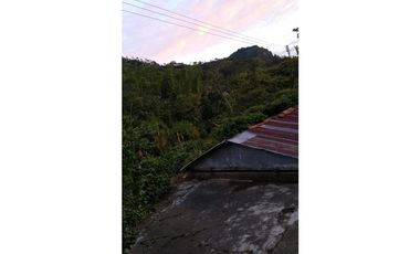 Se Vende Finca Cafetera en Quinchía Risaralda