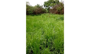 VENDE FINCA ARROCERA 1800 HECTREAS, OPERATIVA Y EN BUEN PRECIO