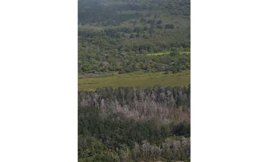 VENDE FINCA ARROCERA 1800 HECTREAS, OPERATIVA Y EN BUEN PRECIO