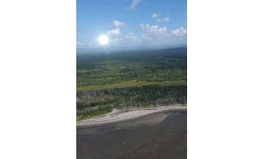 VENDE FINCA ARROCERA 1800 HECTREAS, OPERATIVA Y EN BUEN PRECIO