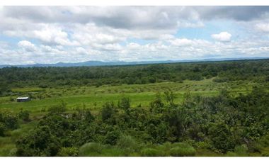 VENDE FINCA ARROCERA 1800 HECTREAS, OPERATIVA Y EN BUEN PRECIO