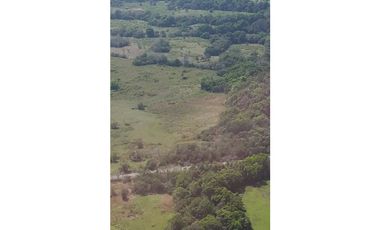 VENDE FINCA ARROCERA 1800 HECTREAS, OPERATIVA Y EN BUEN PRECIO