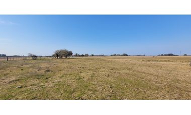 Chacra en Madariaga 1 Hectárea 1/2, perimetrada con Agua y Luz.