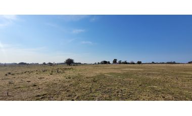 Chacra en Madariaga 1 Hectárea 1/2, perimetrada con Agua y Luz.