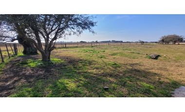 Chacra en Madariaga 1 Hectárea 1/2, perimetrada con Agua y Luz.