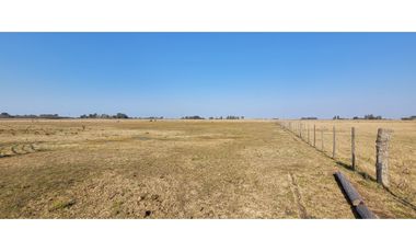 Chacra en Madariaga 1 Hectárea 1/2, perimetrada con Agua y Luz.