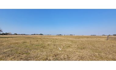 Chacra en Madariaga 1 Hectárea 1/2, perimetrada con Agua y Luz.