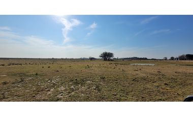 Chacra en Madariaga 1 Hectárea 1/2, perimetrada con Agua y Luz.