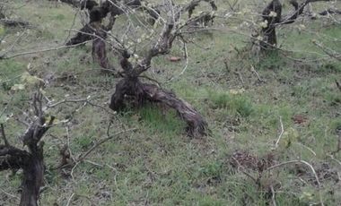 Sitio en Venta en Cerca de villa Don Ambrosio y Hospital de san javier