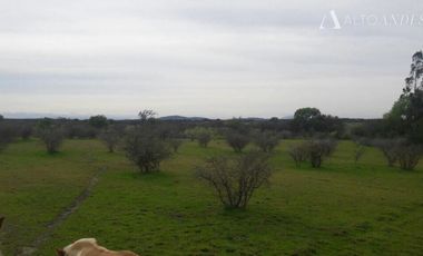 Sitio en Venta en Cerca de villa Don Ambrosio y Hospital de san javier