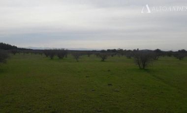 Sitio en Venta en Cerca de villa Don Ambrosio y Hospital de san javier