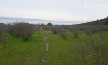 Sitio en Venta en Cerca de villa Don Ambrosio y Hospital de san javier