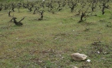 Sitio en Venta en Cerca de villa Don Ambrosio y Hospital de san javier