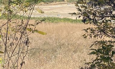 Sitio en Venta en Lomas de Nogales