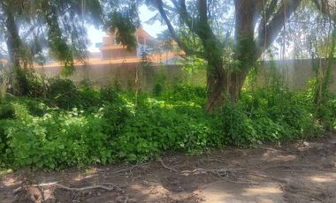 Venta de terreno en Ajijic