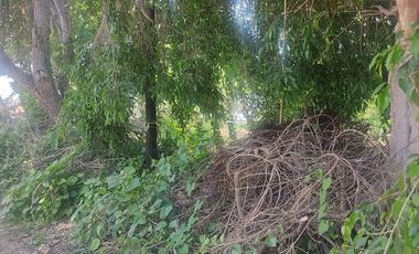 Venta de terreno en Ajijic