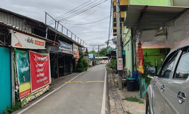 Land for sale in San Klang, Chiang Mai