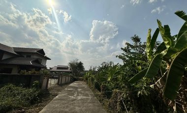 Land for sale in Nong Chom, Chiang Mai