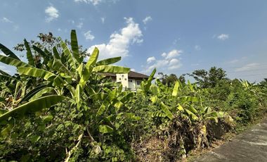 Land for sale in Nong Chom, Chiang Mai