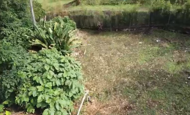 Lote Venta Pinares Alto Pereira