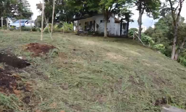 Lote Venta Pinares Alto Pereira