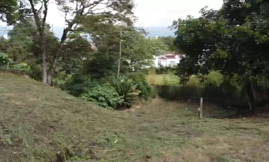 Lote Venta Pinares Alto Pereira