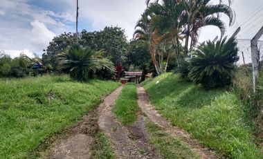 Finca Venta Cerritos Pereira