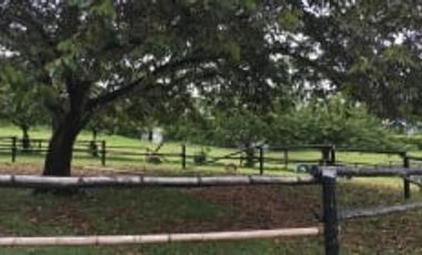 Lote Venta Cerritos Pereira