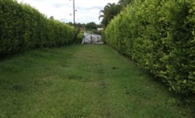 Lote Venta Cerritos Pereira