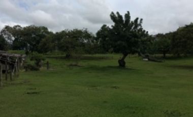 Lote Venta Cerritos Pereira