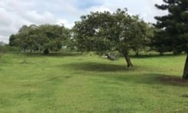 Lote Venta Cerritos Pereira