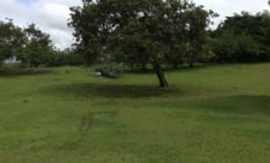 Lote Venta Cerritos Pereira