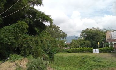 Lote Venta Los Álamos Pereira