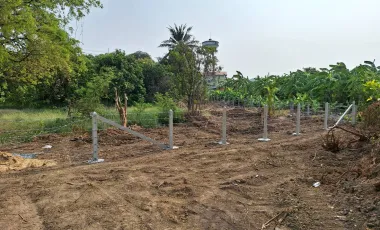 Land for sale in Thap Luang, Nakhon Pathom