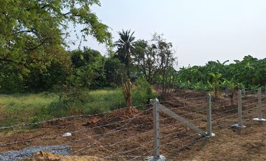 Land for sale in Thap Luang, Nakhon Pathom