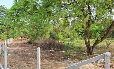 Land for sale in Thap Luang, Nakhon Pathom